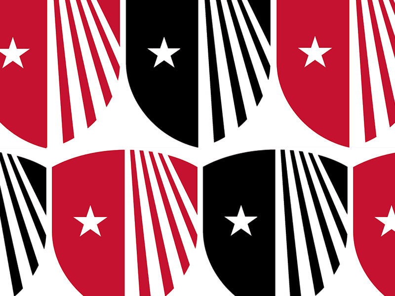 Pattern of Stony Brook University shield logos in red and black with white stars.