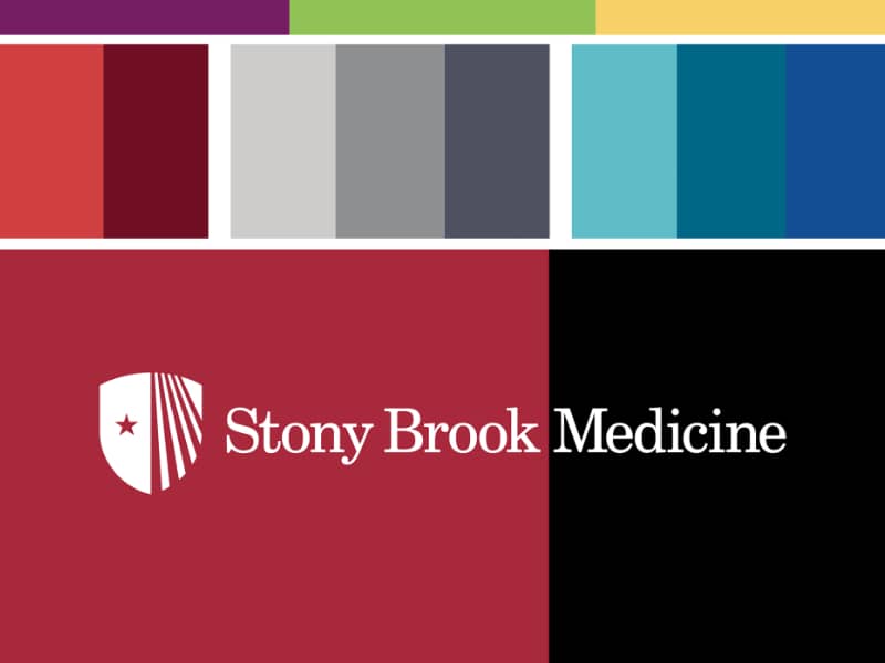 Stony Brook Medicine color palette featuring red, black, white, teal, blue, yellow, green, purple, gray, and dark gray swatches arranged in a grid layout.